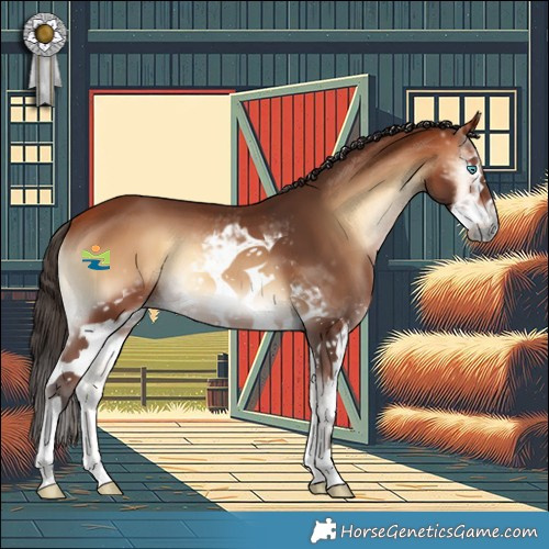 Horse Color:White Spotted Bay Onyx Frame 