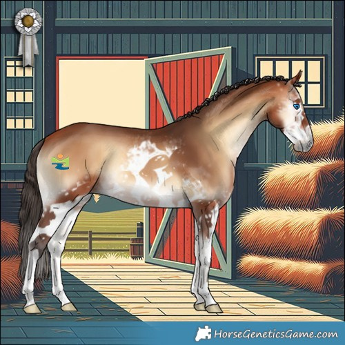 Horse Color:White Spotted Bay Onyx Frame 