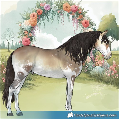 Horse Color:White Spotted Bay Ice Onyx 