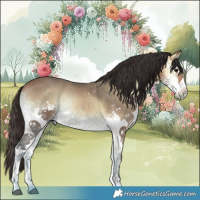 Horse Color:White Spotted Bay Ice Onyx 