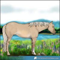 Horse Color:Chocolate Palomino Dun