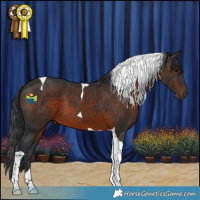 Horse Color:Brown Tobiano 