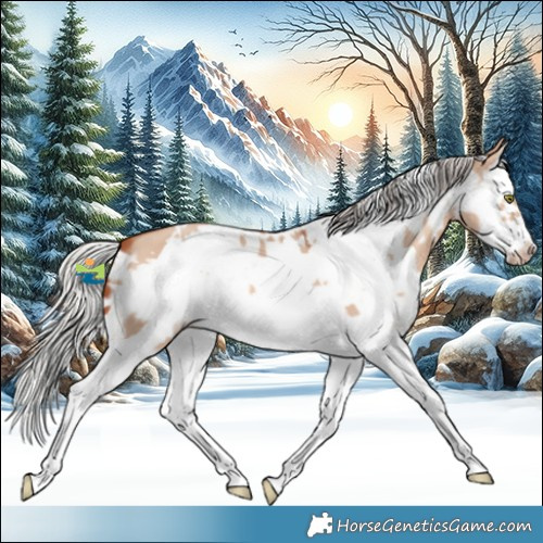 Horse Color:White Spotted Silver Sable Champagne Dun Splash Frame 