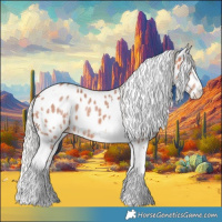Horse Color:Silver Bay Sabino Tobiano Appaloosa Rabicano 