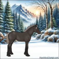 Horse Color:Gray Silver Blue Roan 