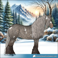 Horse Color:White Spotted Silver Brown Dun Appaloosa 