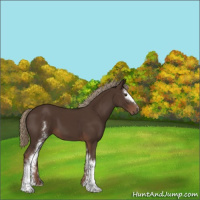 Horse Color:White Spotted Liver Chestnut Sabino 