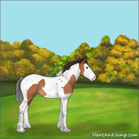 Horse Color:Brown Splash Tobiano 