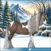 Horse Color:Silver Brown Dun Splash Tobiano 