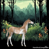 Horse Color:Gray Chocolate Palomino Pearl Sabino Rabicano 