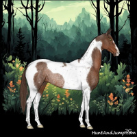 Horse Color:Liver Chestnut Tobiano Rabicano 