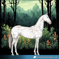 Horse Color:Gray Gold Champagne Appaloosa Rabicano 