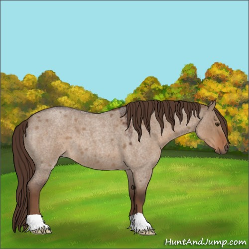 Horse Color:Liver Red Dun Roan 