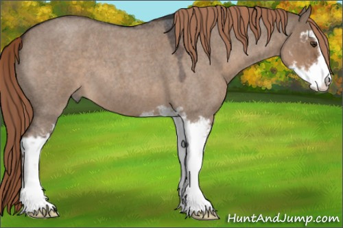 Horse Color:Liver Red Dun Roan Sabino 