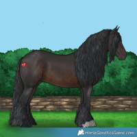 Horse Color:Brown 