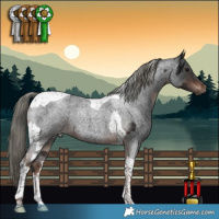 Horse Color:Brown Mushroom Tobiano  and Liver Red Roan Mushroom Tobiano