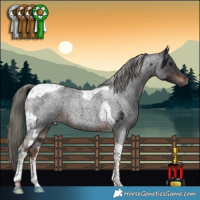 Horse Color:Brown Mushroom Tobiano and Liver Red Roan Mushroom Tobiano
