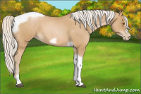 Horse Color:Silver Blue Roan Pearl Tobiano Frame 