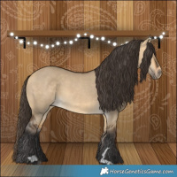 Horse Color:Buckskin Dun 