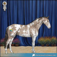 Horse Color:White Spotted Classic Champagne 