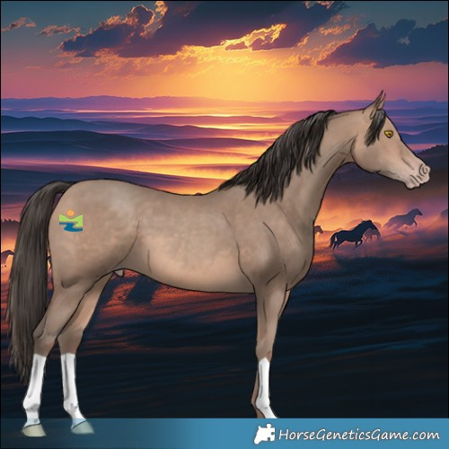 Horse Color:Sable Champagne 