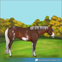 Horse Color:White Spotted Silver Brown Frame