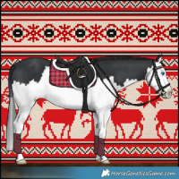 Horse Color:Black Splash 