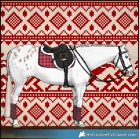 Horse Color:Classic Champagne Splash Appaloosa