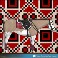 Horse Color:Classic Champagne Splash 