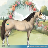 Horse Color:Buckskin Roan Dun Sabino 