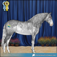 Horse Color:Silver Brown Chinchilla Sabino Rabicano 