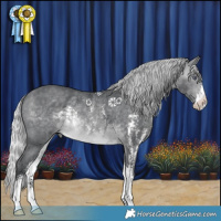 Horse Color:Silver Brown Chinchilla Sabino Rabicano 