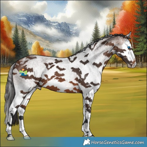 Horse Color:White Spotted Brown Splash 