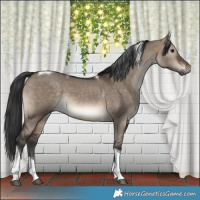 Horse Color:Brown Dun Tobiano Rabicano 