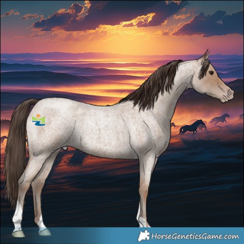 Horse Color:Classic Champagne Roan 