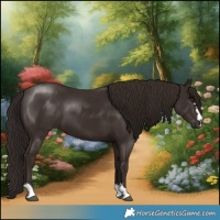 Horse Color:Liver Chestnut 