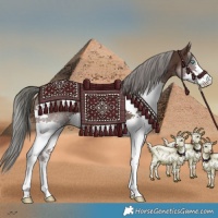 Horse Color:Liver Chestnut Mushroom Splash 