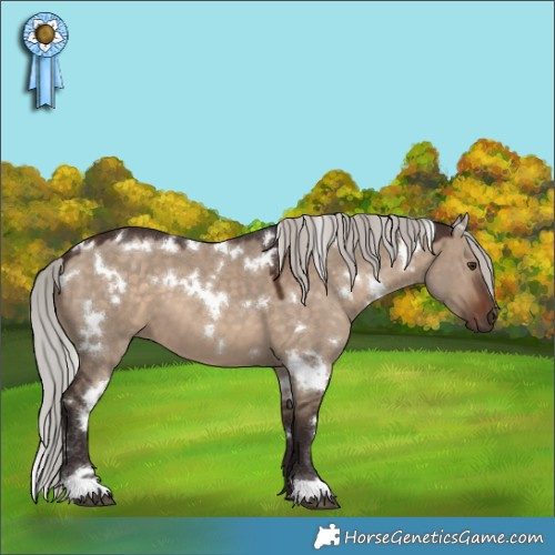 Horse Color:White Spotted Silver Brown Dun 