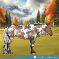 Horse Color:White Spotted Silver Brown Dun Mushroom Brindle 