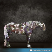 Horse Color:Nacre White Spotted Silver Black Ice Rabicano 