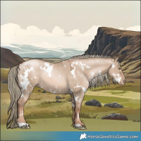 Horse Color:White Spotted Liver Red Dun Pearl Mushroom