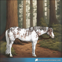 Horse Color:White Spotted Liver Chestnut Mushroom Sabino 