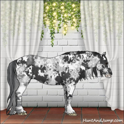 Horse Color:White Spotted Black Ice Mushroom 