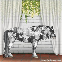 Horse Color:White Spotted Black Ice Mushroom