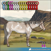 Horse Color:White Spotted Liver Red Dun Mushroom