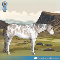 Horse Color:White Spotted Liver Red Dun Mushroom Sabino 