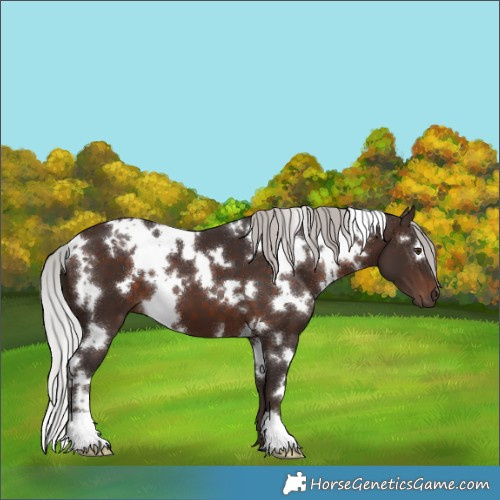 Horse Color:White Spotted Silver Brown Mushroom 