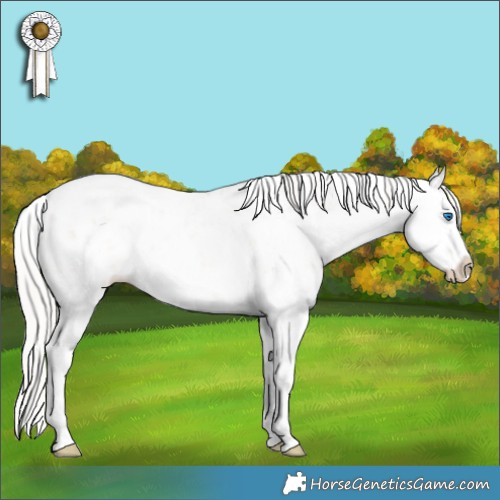 Horse Color:White Spotted Silver Classic Champagne Dun Sabino Splash Appaloosa Rabicano 