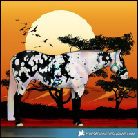 Horse Color:Nacre White Spotted Buckskin Pearl Sabino Splash Blanket 