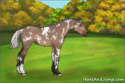 Horse Color:White Spotted Silver Brown Dun 